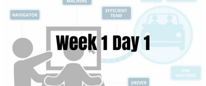 Week 1 Day 1 – Pairing