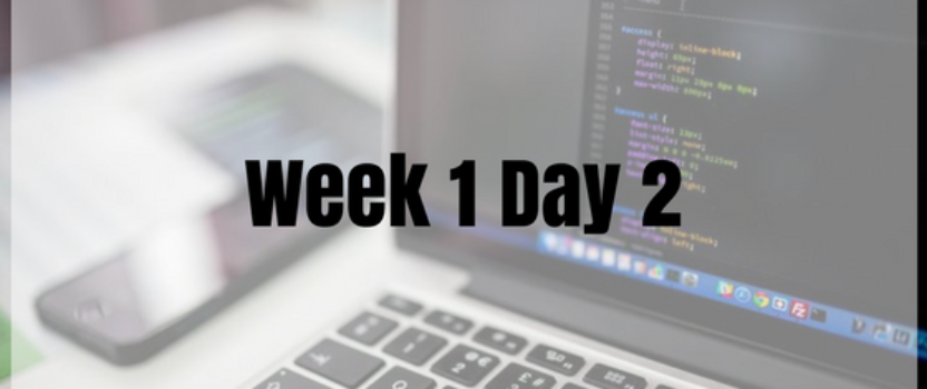 Week 1 Day 2 – References and Scope