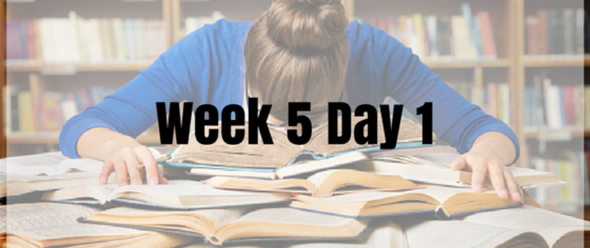 Week 5 Day 1 – Assessment Prep