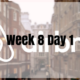 Week 8 Day 1 – BenchBnB