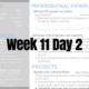 Week 11 Day 2 – Job Search Applications and JS Project