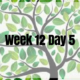 Week 12 Day 5 – Job Search Begins